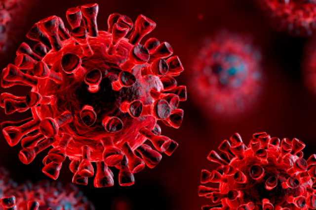 Ricerca, isolato e sequenziato il genoma di due virus Sars-Cov-2